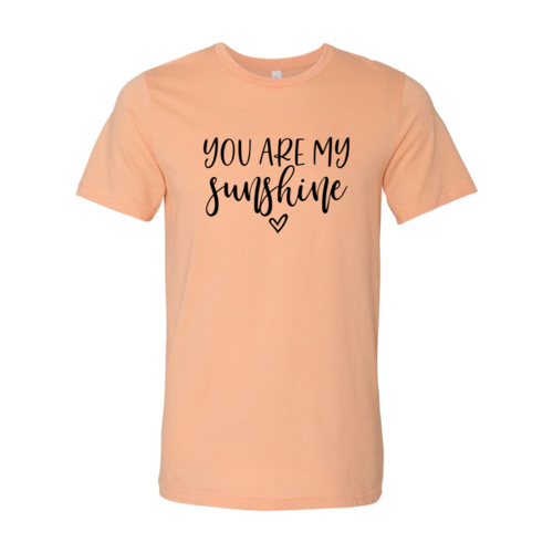 DT0079 You Are My Sunshine Shirt