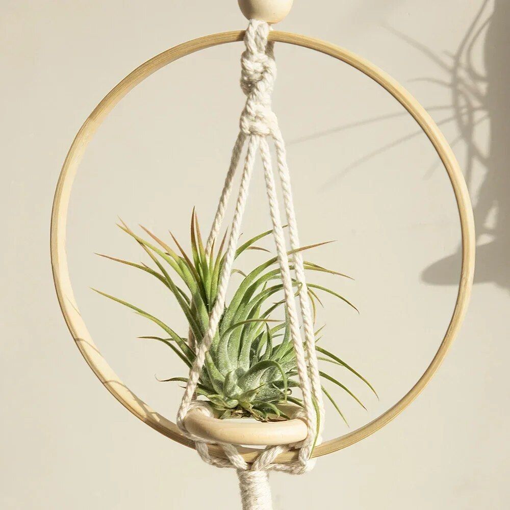 Boho Chic Macrame Air Plant Hanger