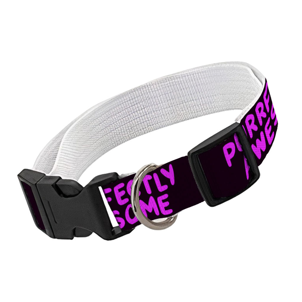 Awesome Pet Collar - Funny Saying Dog Collar - Cool Dog Collar