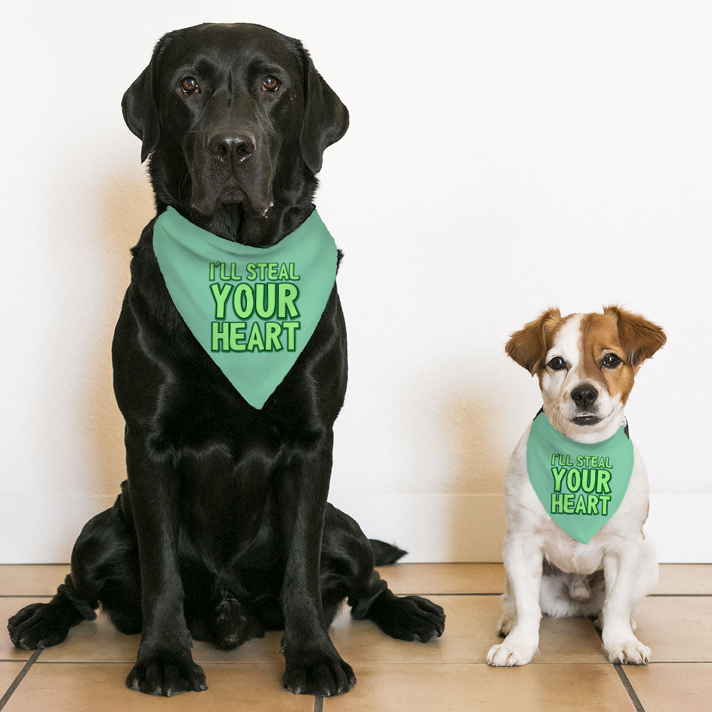 I'll Steal Your Heart Pet Bandana Collar - Art Print Scarf Collar - Word Design Dog Bandana