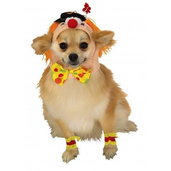 Clown Headpiece with Cuffs Pet Costume | Turquoise Daedalus