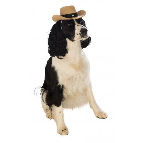 Brown Cowboy Pet Hat | Turquoise Daedalus