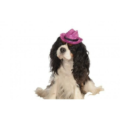 Cowboy Pink Glitter Pet Hat