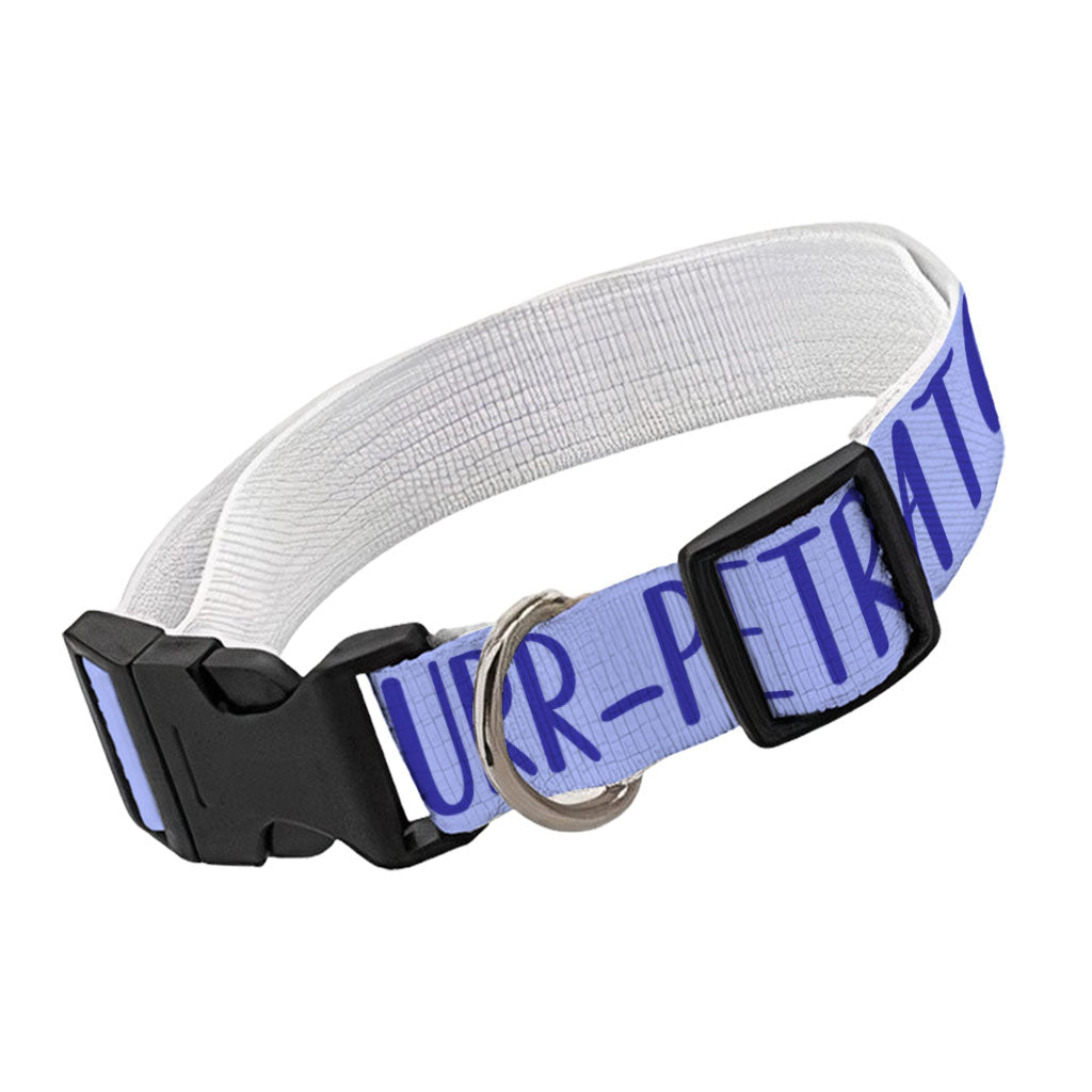 Cute Funny Pet Collar - Creative Dog Collar - Cool Design Dog Collar