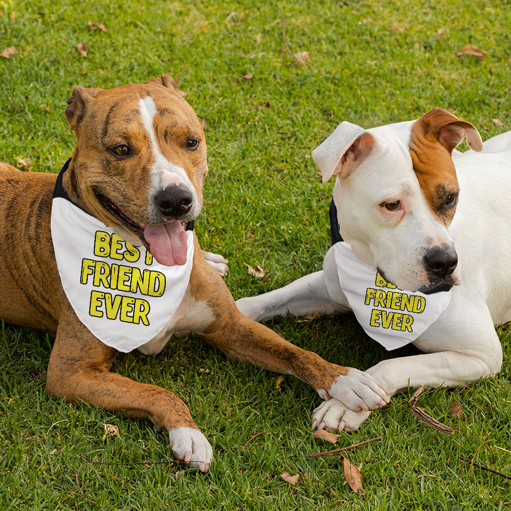 Best Friend Ever Pet Bandana Collar - Cute Design Scarf Collar - Best Print Dog Bandana