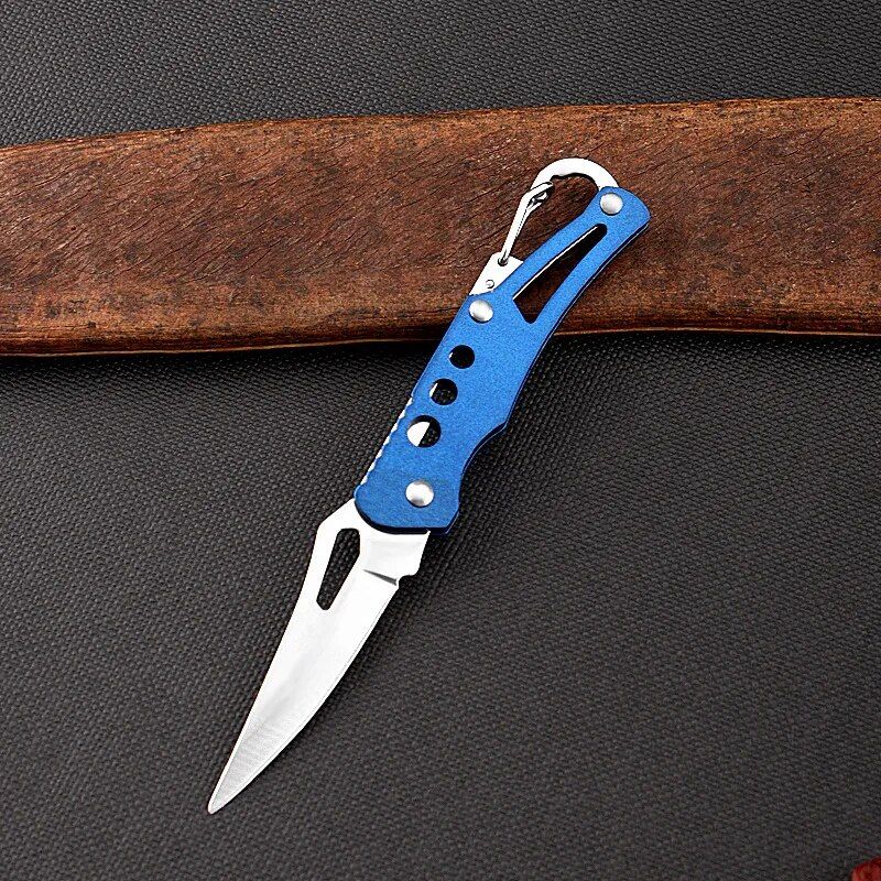 Compact Stainless Steel Folding Knife