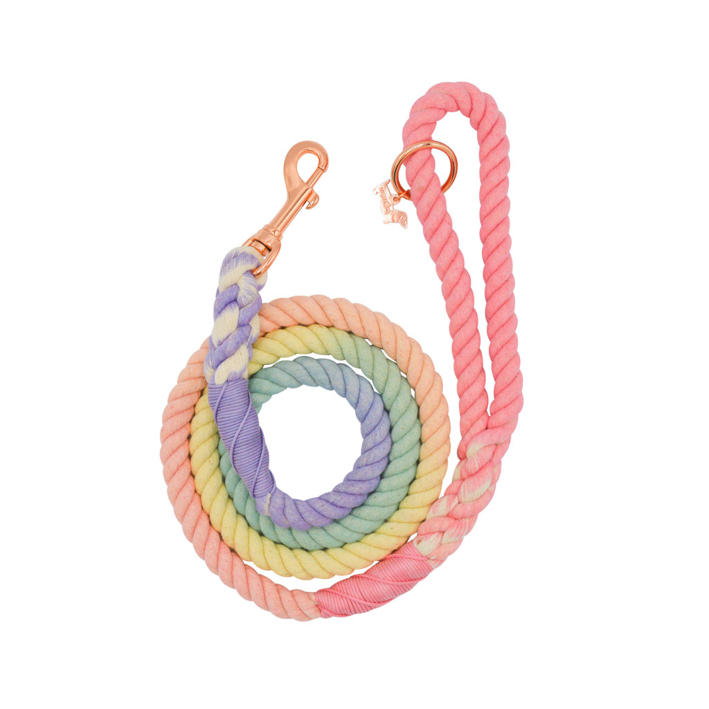 Rainbow Dog Leash