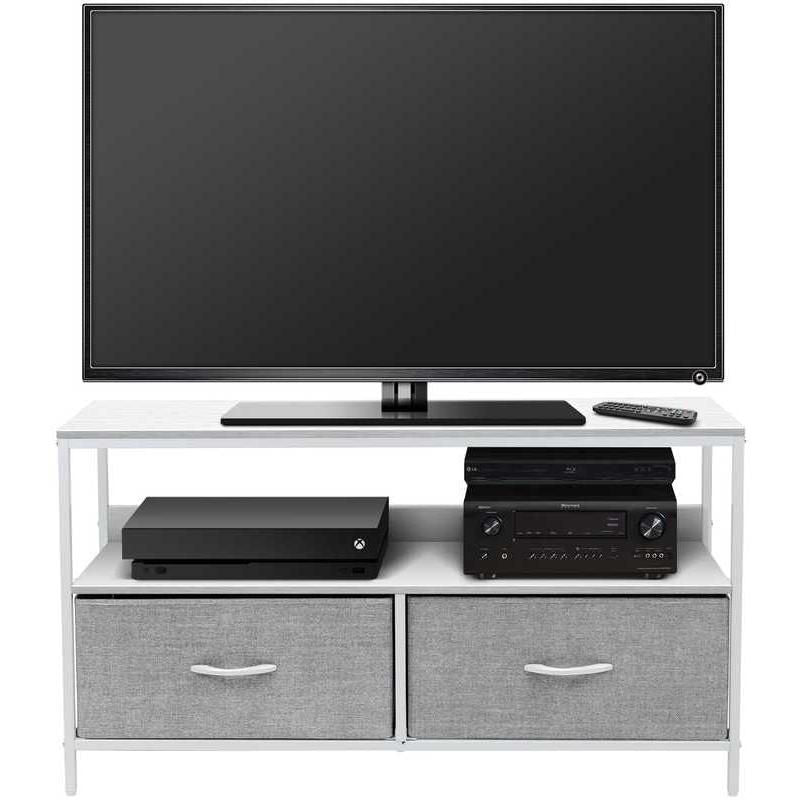 Modern Multi-Functional TV Stand and Media Console