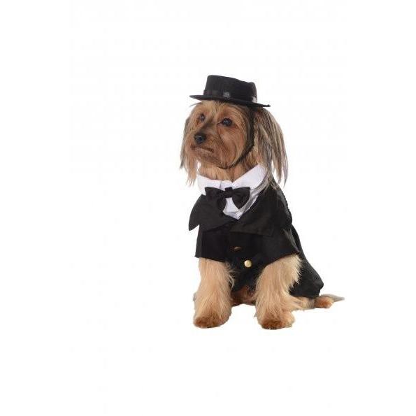 Dapper Suit Pet Costume | Turquoise Daedalus