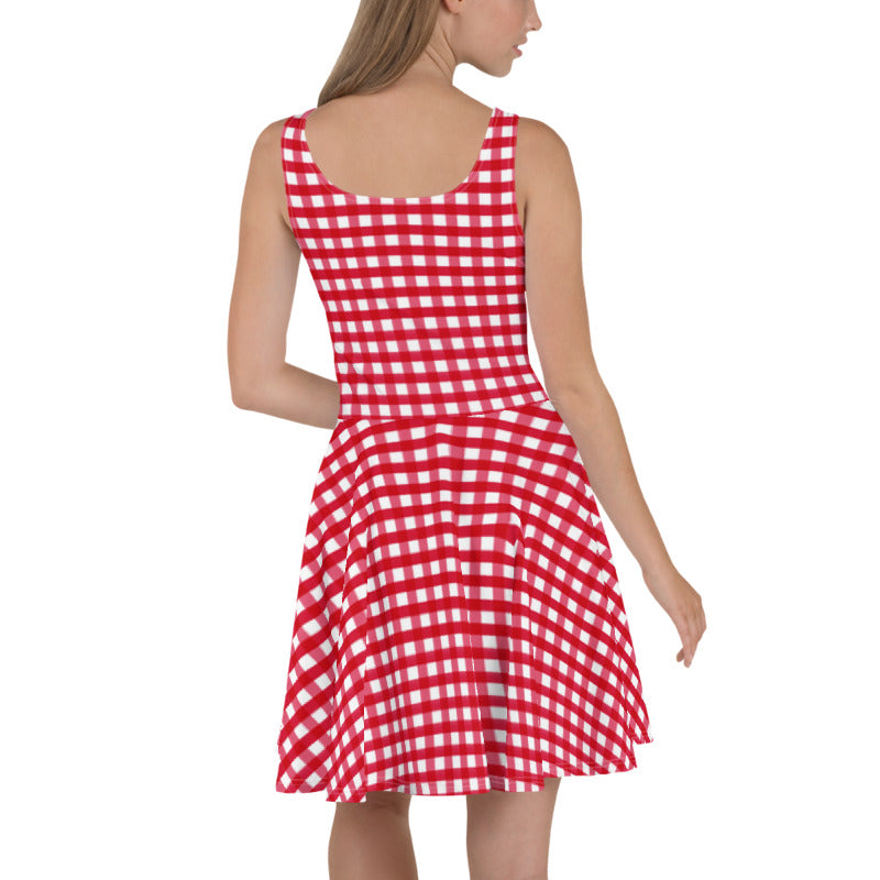 Fuchsia Gingham Plaid Skater Dress