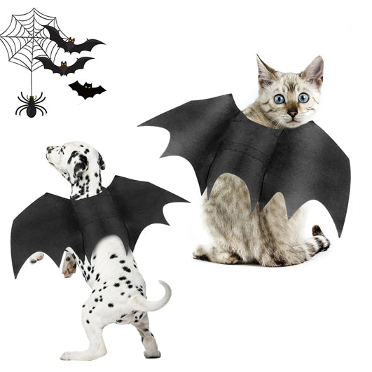 Halloween Pet Bat Wings Costume Cat and Dogs | Yellow Pandora