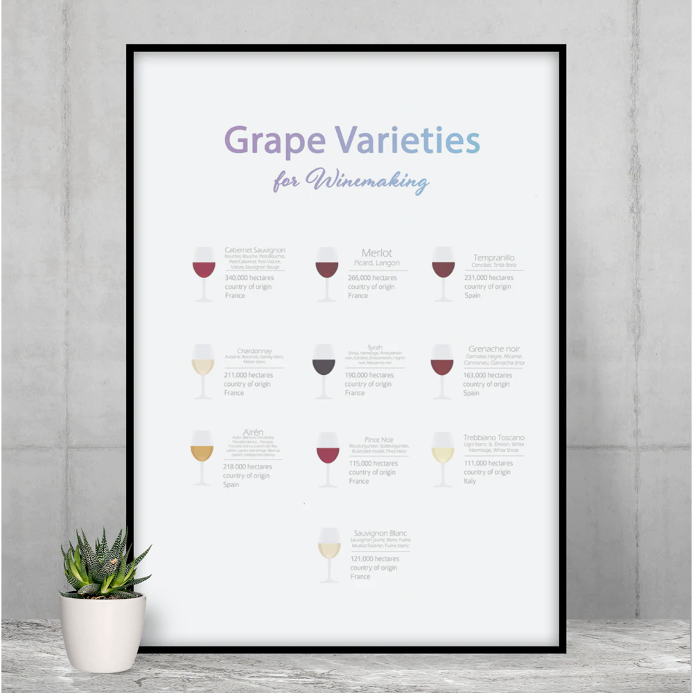 Grape Varieties for Winemaking Poster Room Decor | Yellow Pandora