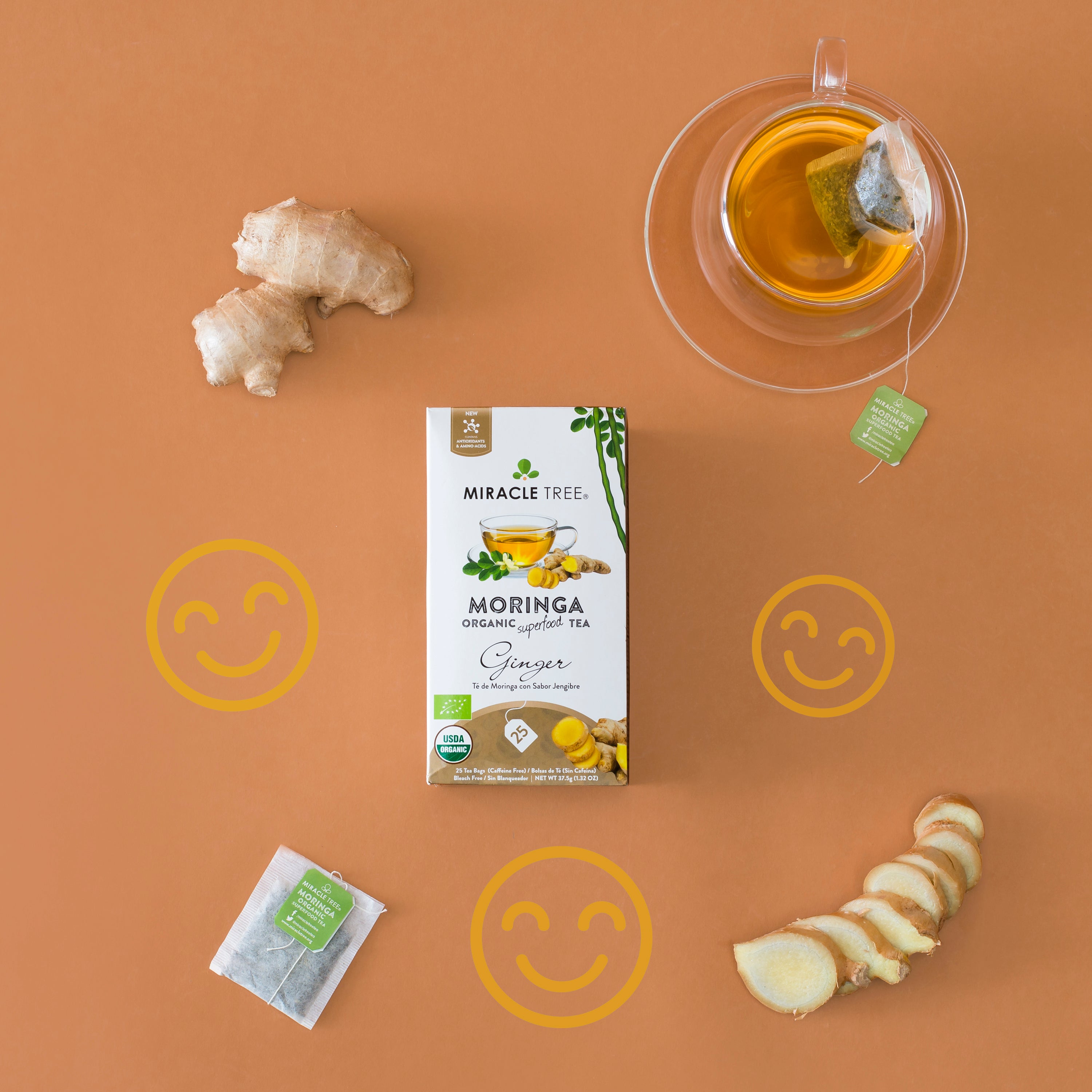 Miracle Tree Organic Moringa Tea Ginger