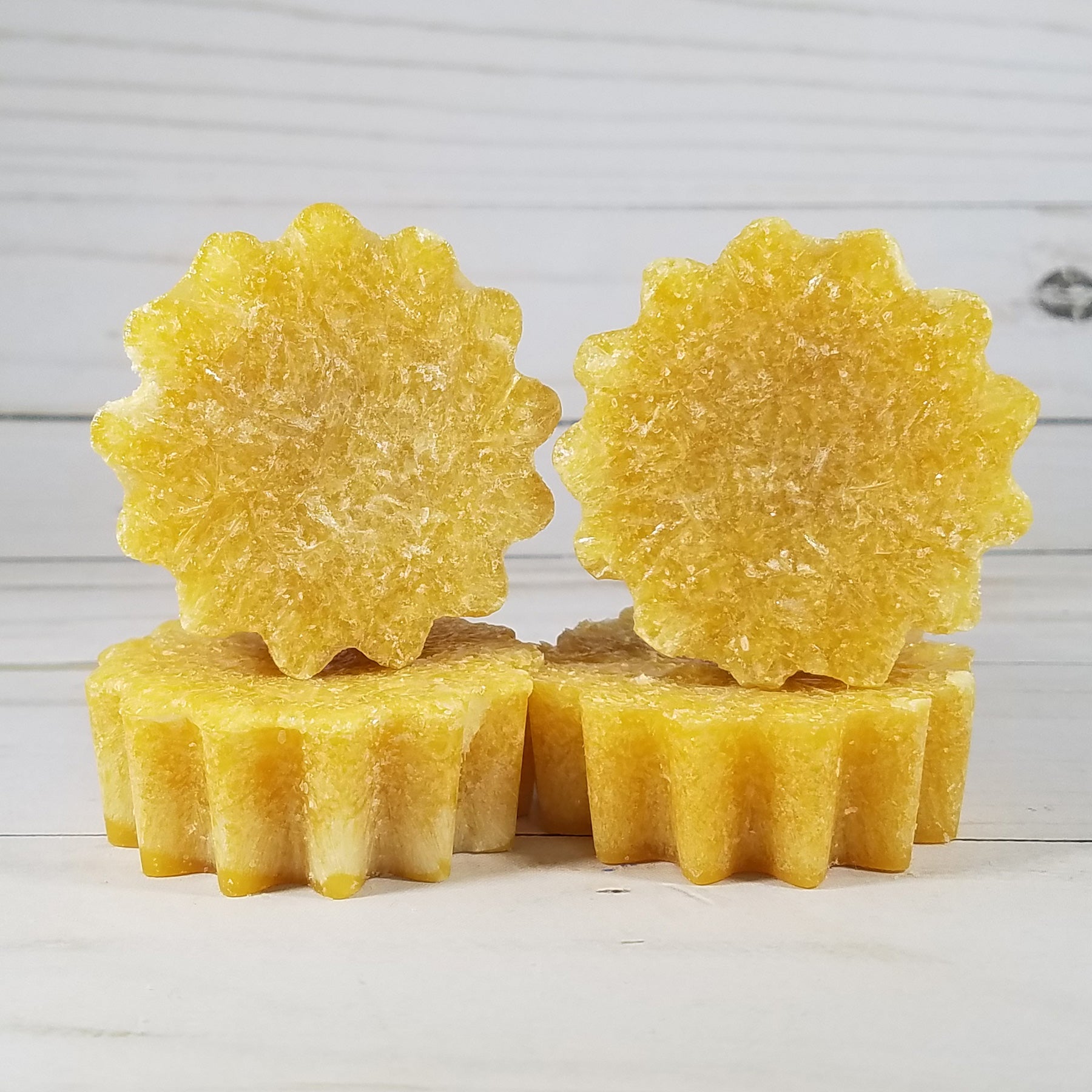 Pirate Bay Scented Wax Melt Tarts | Black Oliver