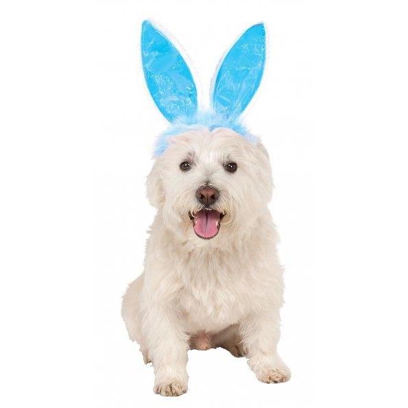 Blue Cat Bunny Ears | Turquoise Daedalus