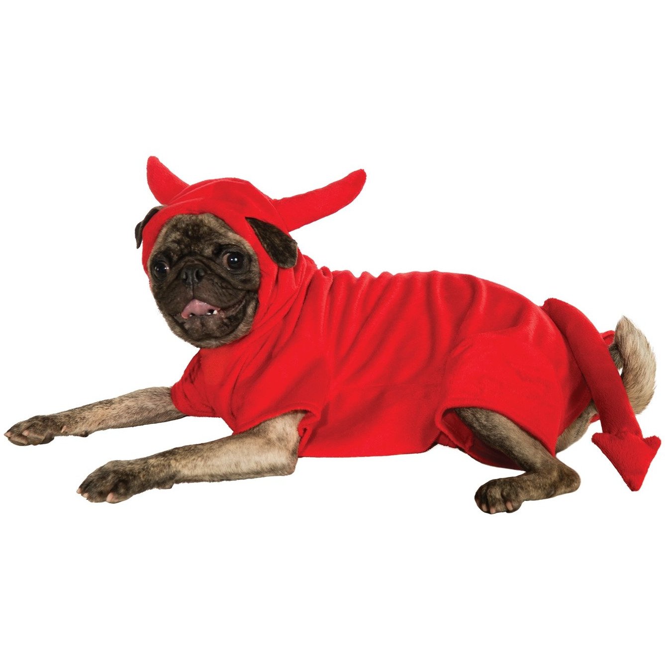 Devil Pet Costume | Turquoise Daedalus