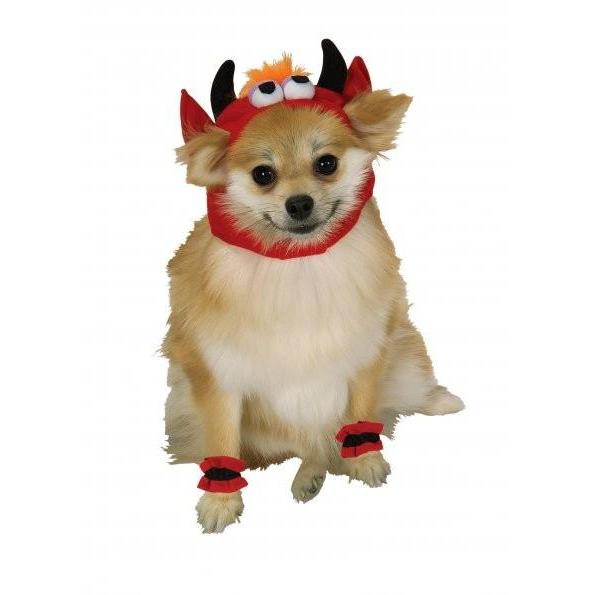 Devil Headpiece with Cuffs Pet Costume | Turquoise Daedalus