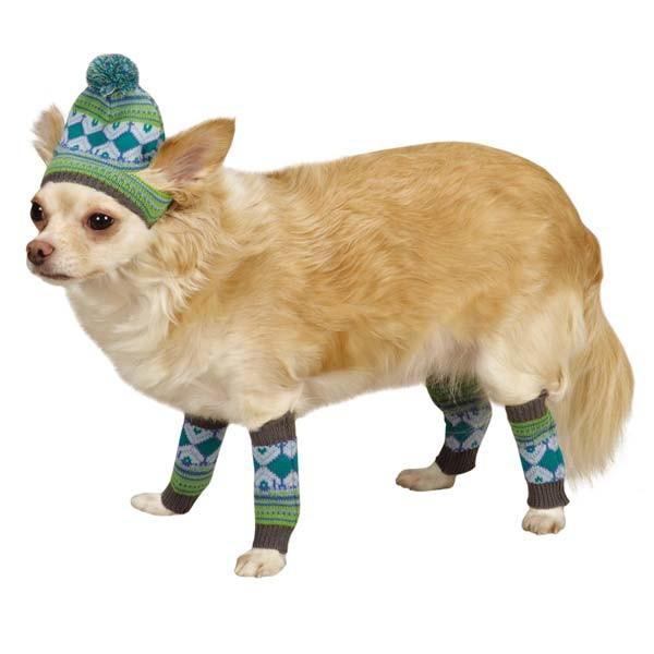 Pet Hat & Leg Warmers - Blue & Green | Turquoise Daedalus