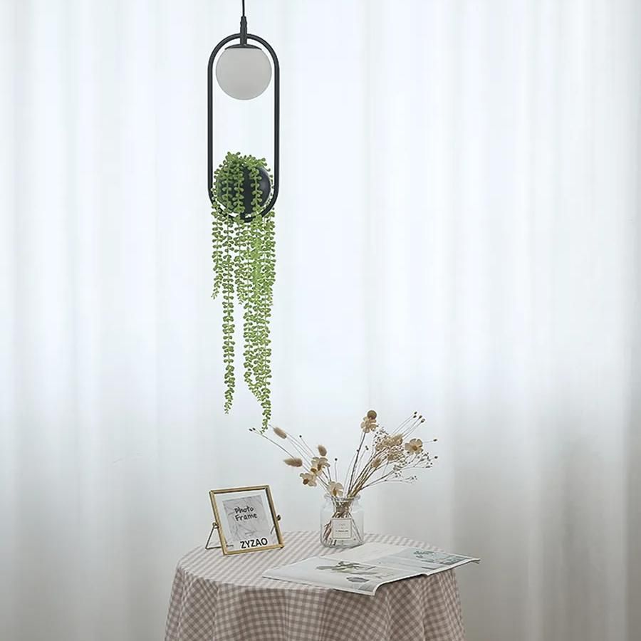 Elegant DIY Ring Plant Pendant Light