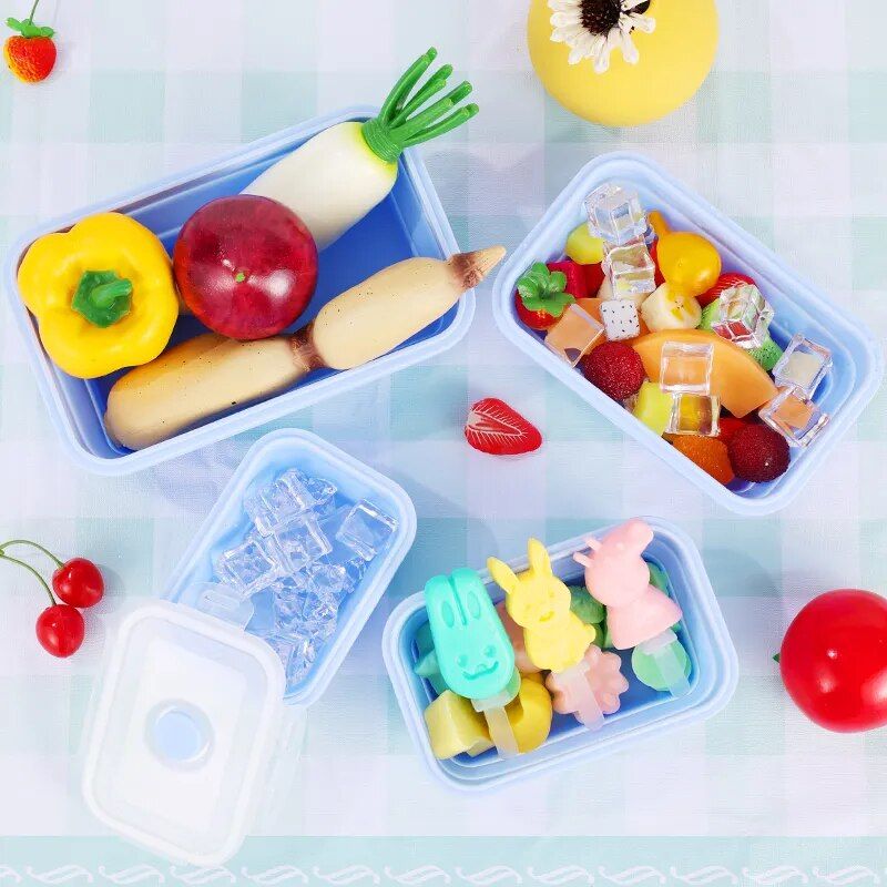 Collapsible Silicone Lunch Box Set