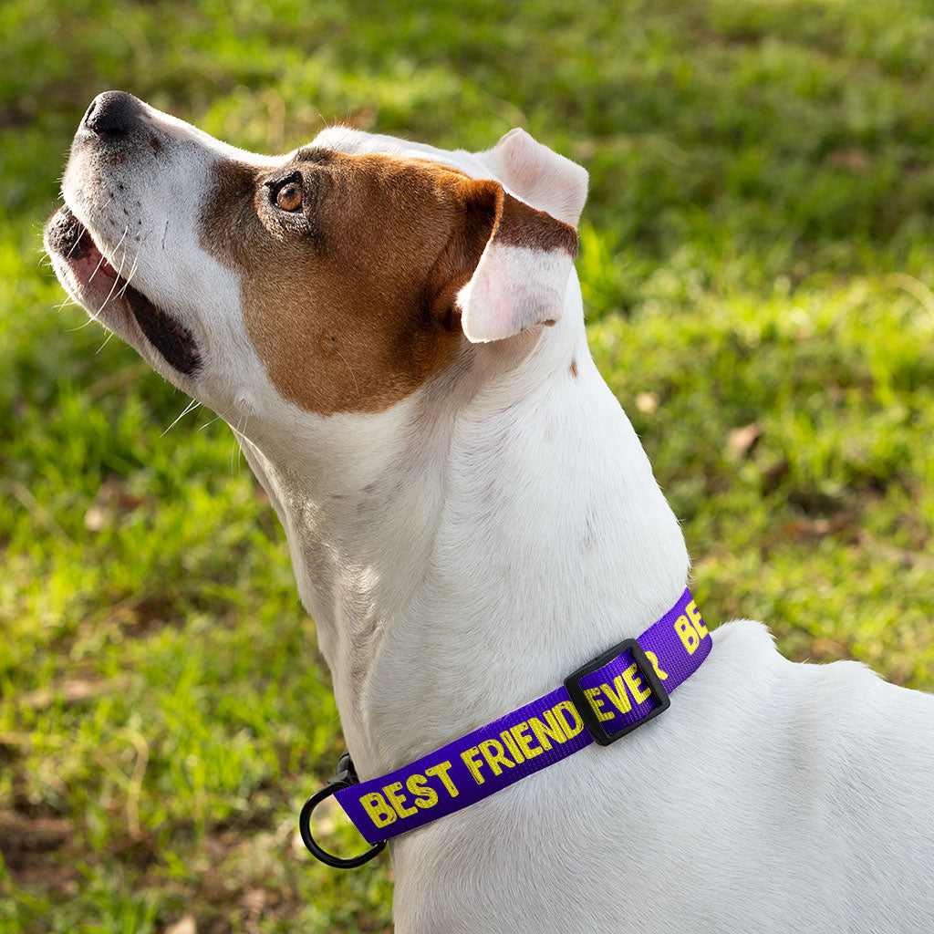 Best Friend Ever Pet Collar - Cute Design Dog Collar - Best Print Dog Collar