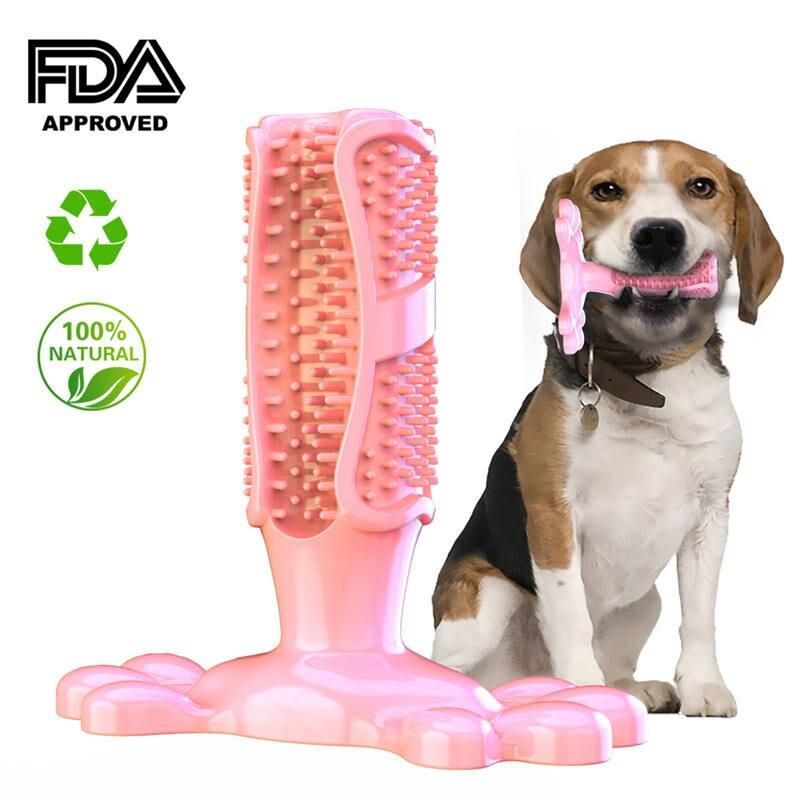 Chewable Toothbrush