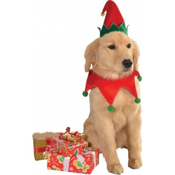 Elf Hat with Bell Collar Pet Christmas Costume