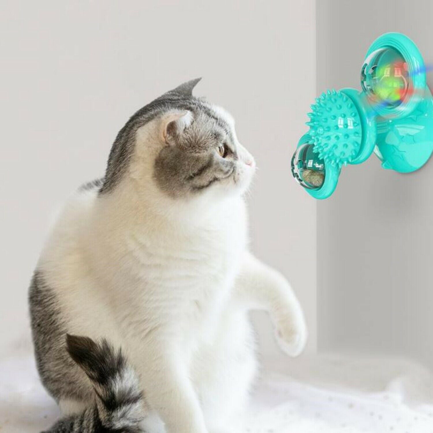 New Windmill Cat Toys Fidget Spinner for Kitten with LED and Catnip