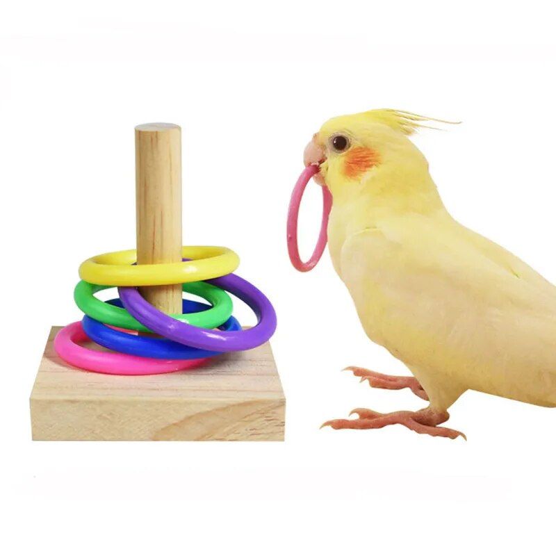 Colorful Parrot Puzzle Toy Set