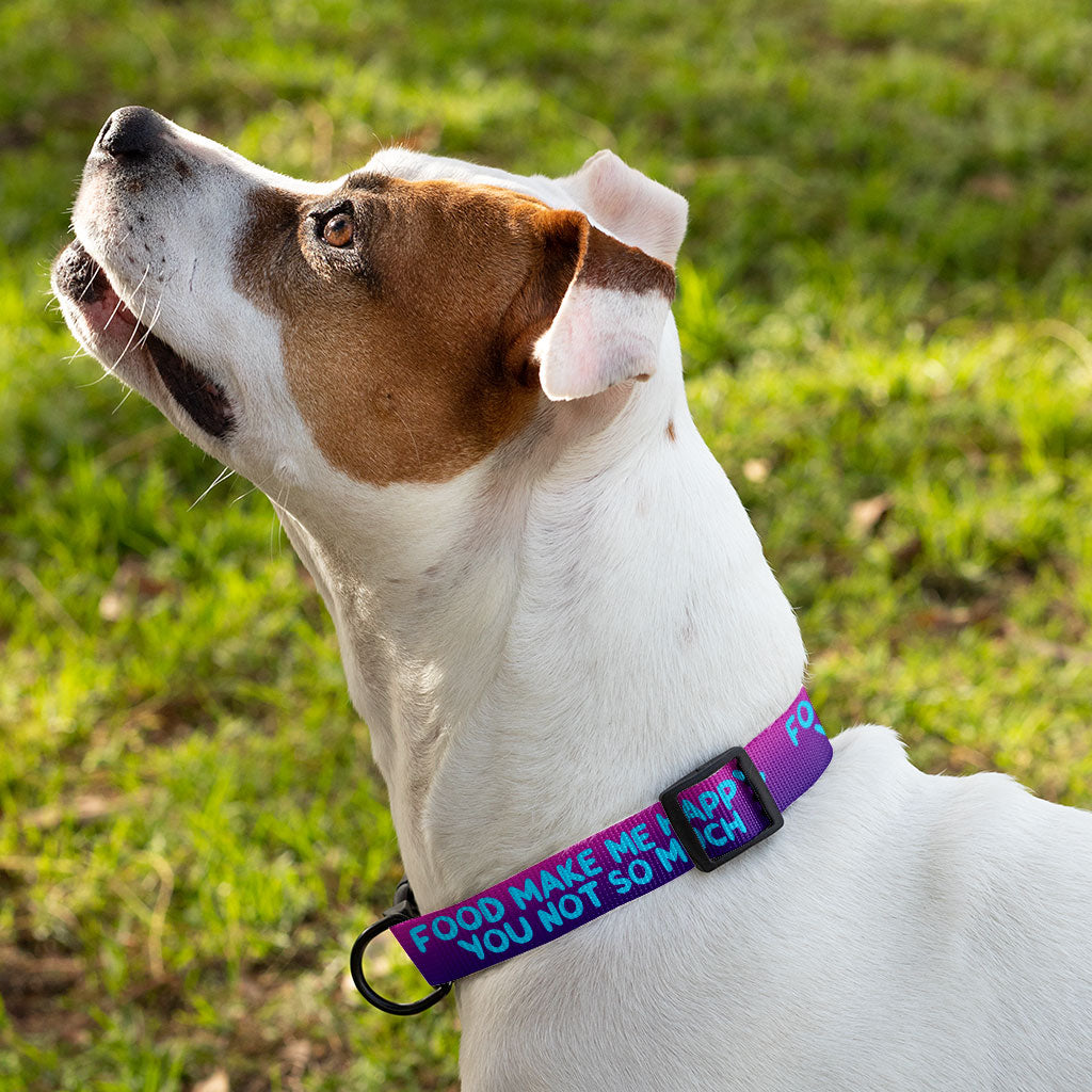 Funny Design Pet Collar - Sarcastic Dog Collar - Cool Saying Dog Collar