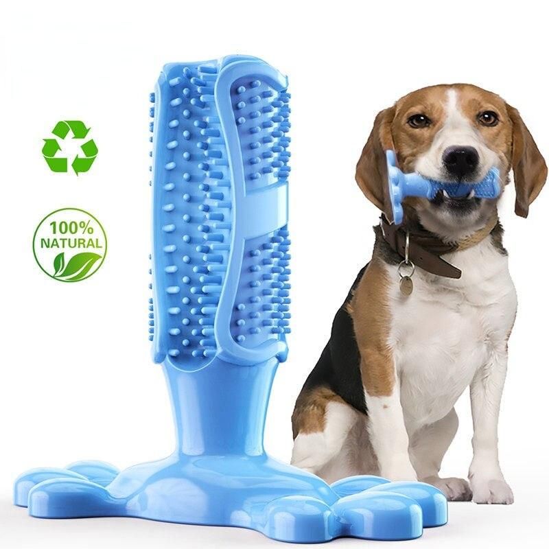 Chewable Toothbrush