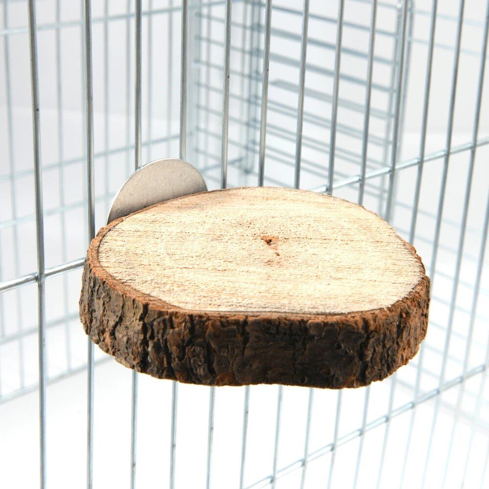 Natural Wooden Bird and Small Pet Perch