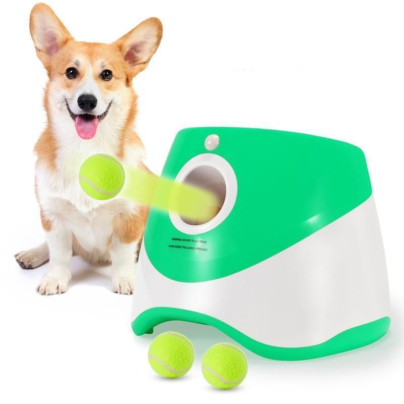 Interactive Dog Ball Launcher