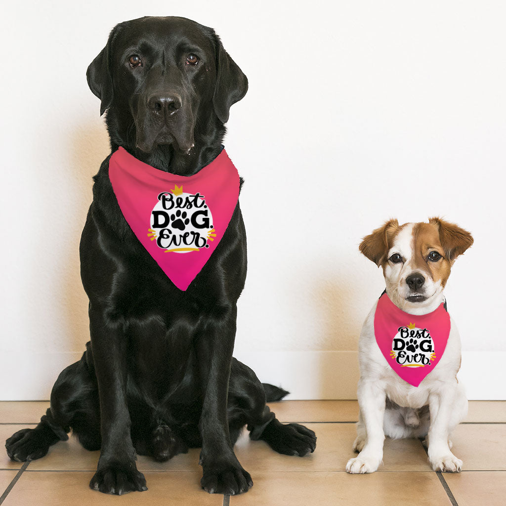 Best Dog Ever Pet Bandana Collar - Cute Scarf Collar - Printed Dog Bandana