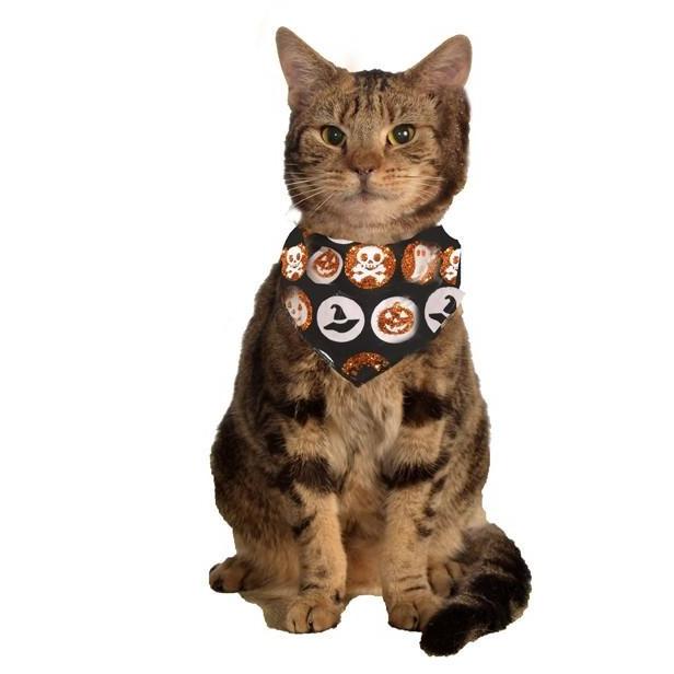 Glitter Halloween Cat Bandana | Turquoise Daedalus