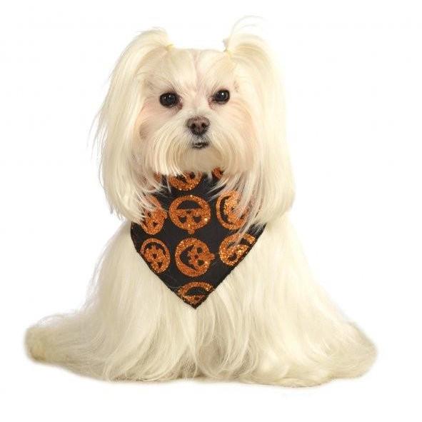 Glitter Pumpkin Pet Bandana | Turquoise Daedalus