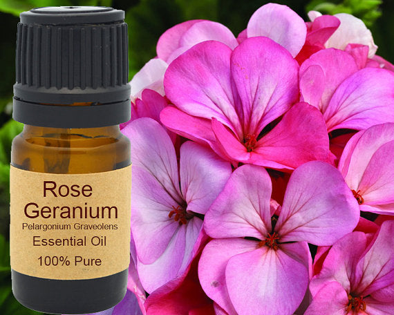 Rose Geranium Essential Oil 15ml | Yellow Poppy