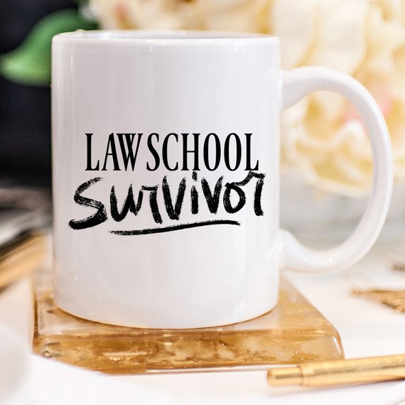 Law Student Coffee Mug, Law School Survivor, Law