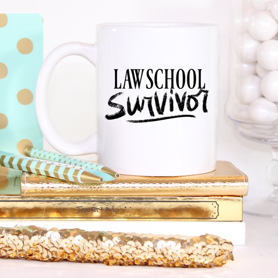 Law Student Coffee Mug, Law School Survivor, Law