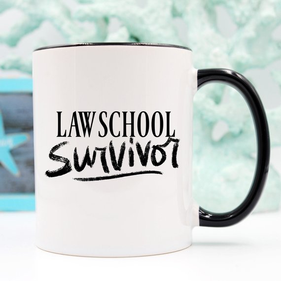 Law Student Coffee Mug, Law School Survivor, Law