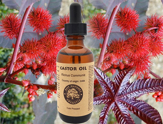 Castor Oil (Organic, Expeller Pressed) for dry | Yellow Poppy