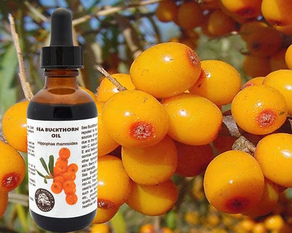 100% Pure Sea Buckthorn Fruit, Berry Oil (Cold | Yellow Poppy