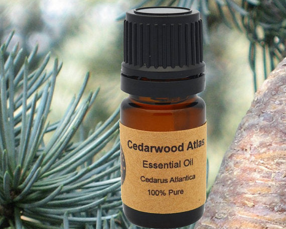 Cedarwood Atlas Essential Oil 15 ml | Yellow Poppy