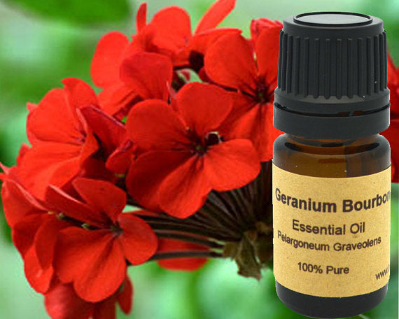 Geranium Bourbon Essential 15ml | Yellow Poppy