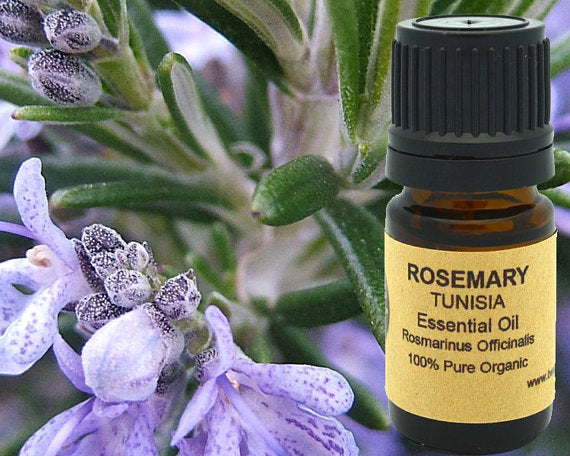 Rosemary Essential Oil (Organic) 15ml | Yellow Poppy