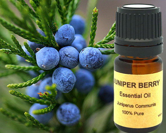 Juniper Berry Essential Oil 15ml | Yellow Poppy