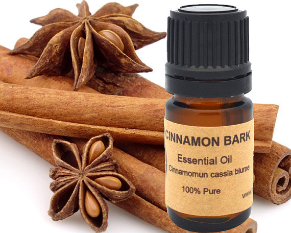 Cinnamon Bark Essential Oil 15 ml | Yellow Poppy