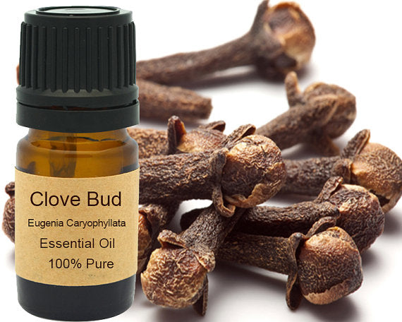 Clove Bud Essential Oil 15ml | Yellow Poppy