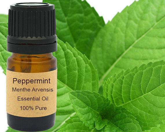 Peppermint Essential Oil  15ml | Yellow Poppy