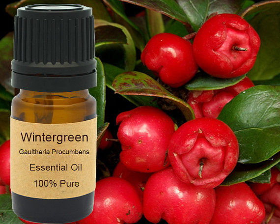 Wintergreen Essential Oil  15ml | Yellow Poppy